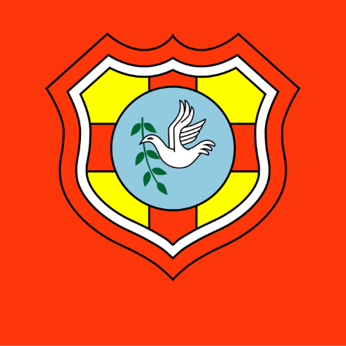 Trikots Tonga