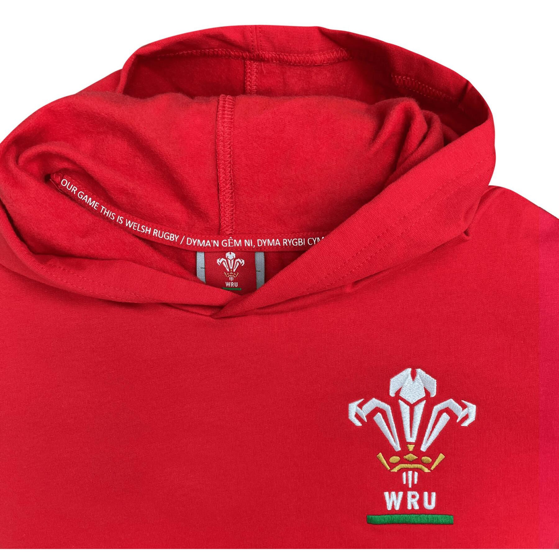 Hoodie Wales Rugby XV Merch CA Groc