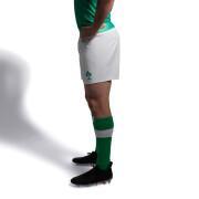 Rugbyshorts – Irland 2023 Heim
