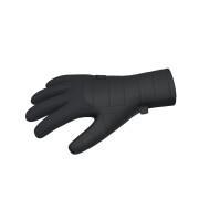 Handschuhe Under Armour Storm insulated